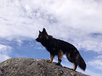 Ki-Shani